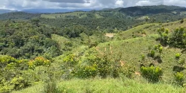 Terreno en Venta en Rosario con 3.333 m2 de terreno - imagen 7