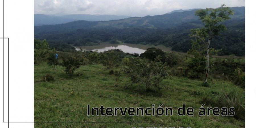 Terreno en Venta en Rosario con 3.333 m2 de terreno - imagen 6