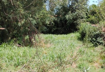 Terreno en Venta en Merlo con frente 10 m y largo 50 m - Imagen 2