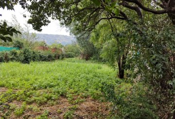 Terreno en Venta en Merlo con frente 10 m y largo 50 m - Imagen 1