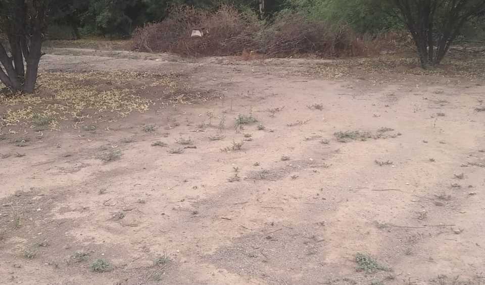 Dueño vende terreno 4750 Mts2 Malligasta Chilecito - Imagen 2