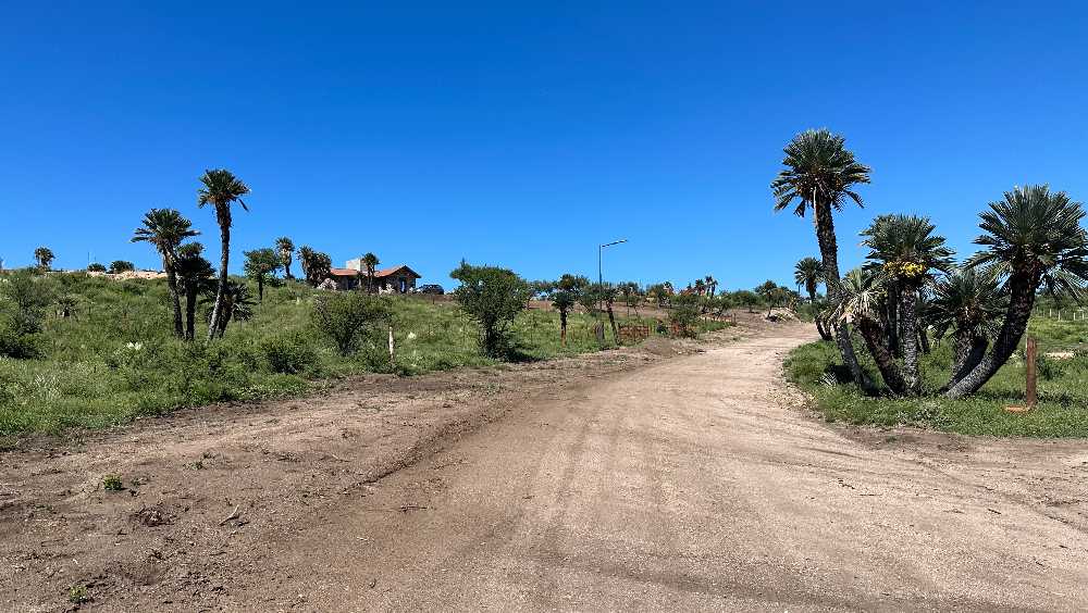 lote 1500m2 en Merlo, San Luis - Imagen 1