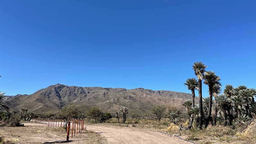 Lote 1500m2 En Merlo, San Luis - Terreno en Venta en Merlo con 1.200 m2 de terreno - imagen 6