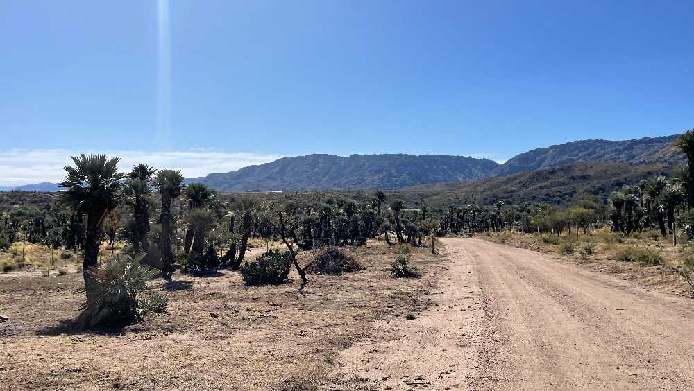 Lote 1500m2 En Merlo, San Luis - Terreno en Venta en Merlo con 1.200 m2 de terreno - imagen 10