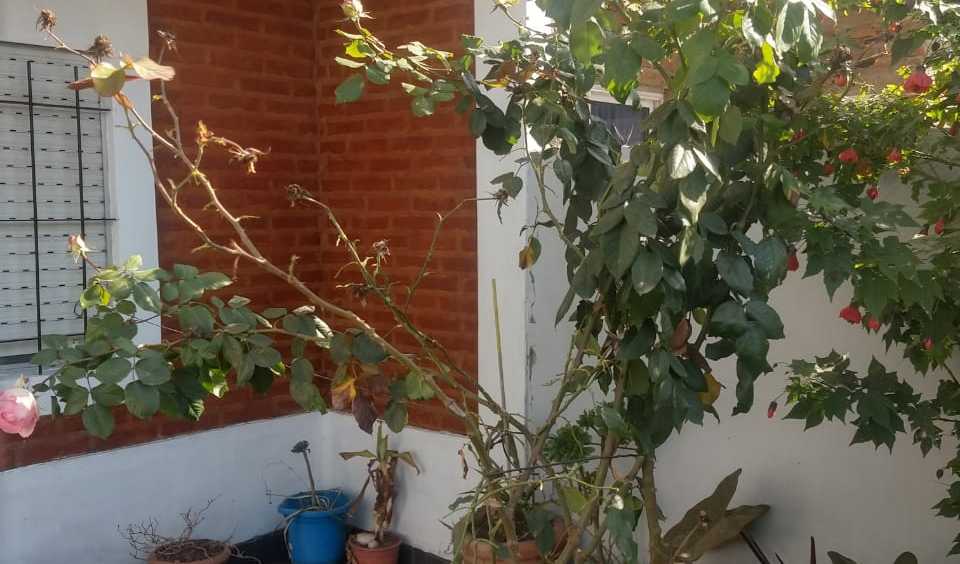 Casa En Venta En Don Torcuato Tigre Con Titulo - Casa en Venta en Tigre con 4 dorm., 6 amb., 58 m2 cubiertos y 250 m2 totales - imagen 9