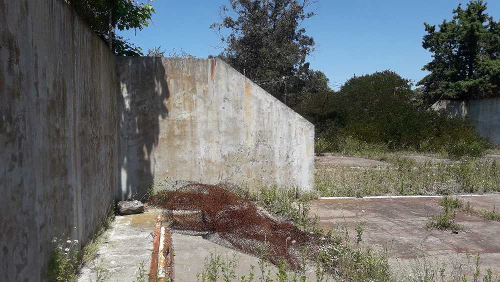 VENDO LOTE EN VILLA GESELL- (AV. 8 Y CALLE 144) ZONA SUR - Imagen 4