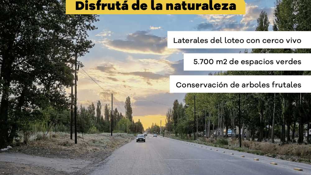 Loteo Residencial Abierto Con Infraestructura De Barrio Privado Alto Jardn - Terreno en Venta en Plottier con 360 m2 de terreno - imagen 2