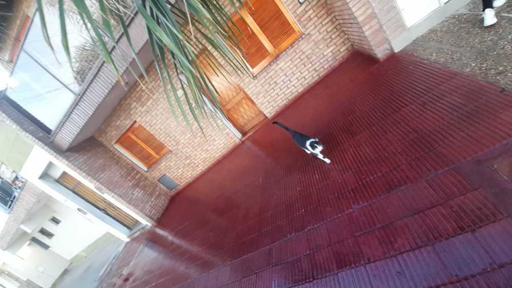 Departamento disponible para la en Venta en Córdoba · dueño directo · 4 o más dorm · 2 cocheras · 168 m² de lote - Imagen 2