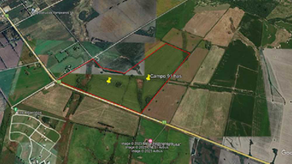 Campo de 91 Has Agricolas en Victoria Entre Ríos - Imagen 1