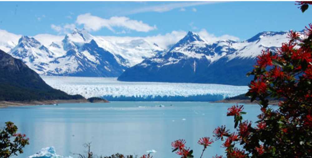 Venta De Casa En Calafate - Casa en Venta en El Calafate con 2 dorm., 2 amb., 167 m2 cubiertos y 600 m2 totales - imagen 13