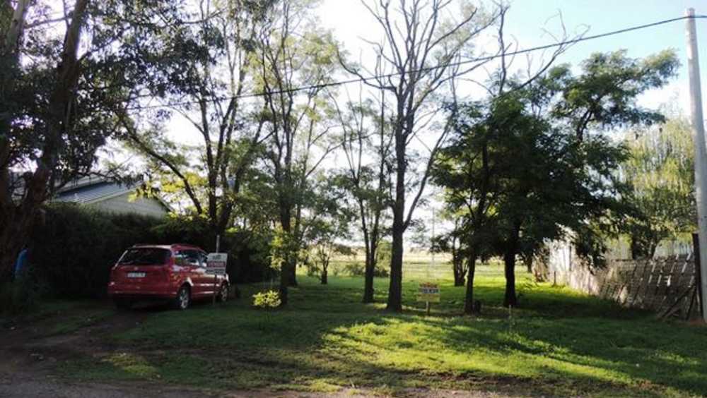 TERRENO DE 300 MTS ARBOLADO - Imagen 3