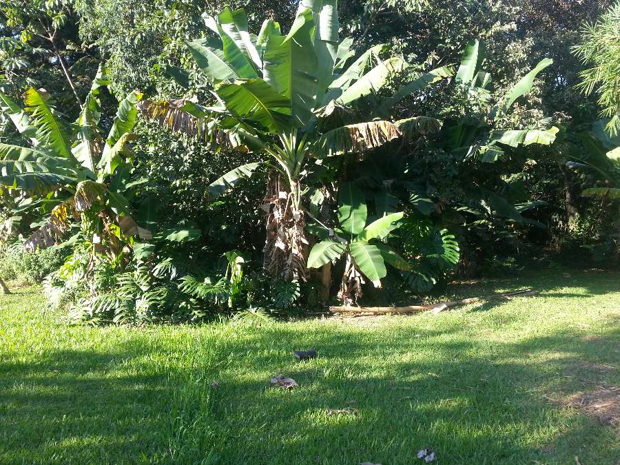 Hotel + Viviendas Familiares+ Local Comercial En Venta En Cataratas Del Iguazu - Hotel en Venta en Puerto Iguazú - imagen 14
