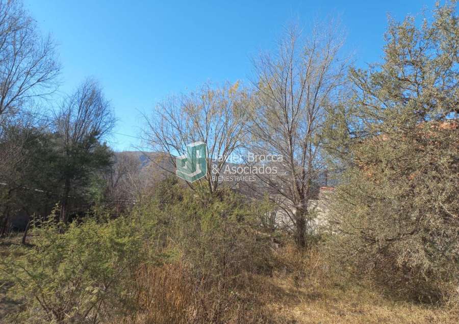 Terreno en Venta Cosquín, Barrio Alto Mieres - 250,94 m2 - Imagen 4