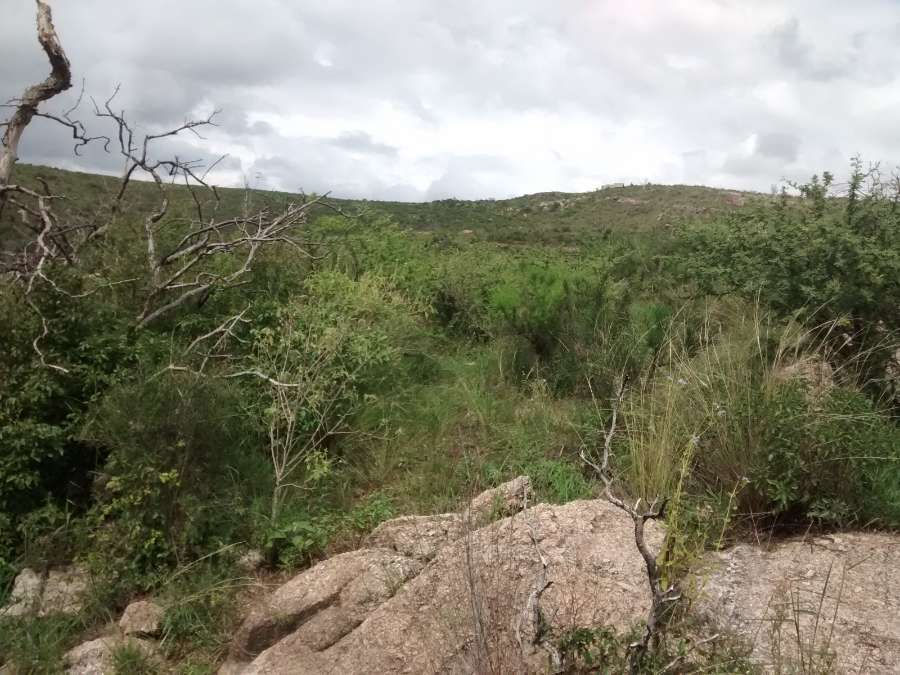 Campo disponible en Santa Maria · dueño directo · 54 ha - Imagen 1