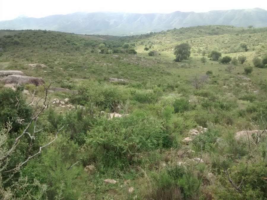 Terreno en Venta en Las Sierras de Córdoba - Dueño Directo! - Imagen 3