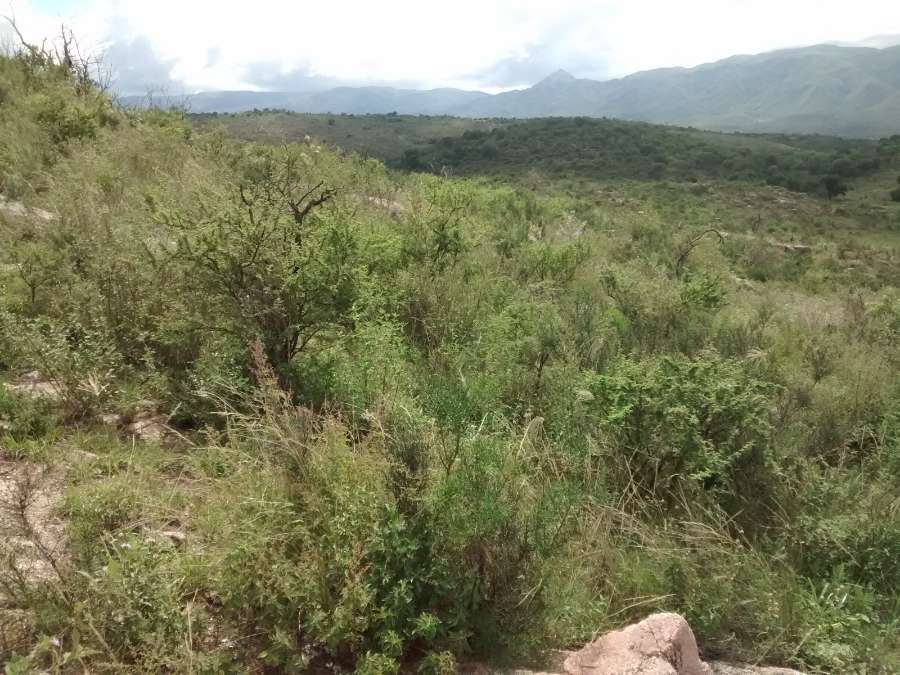 Terreno en Venta en Las Sierras de Córdoba - Dueño Directo! - Imagen 4