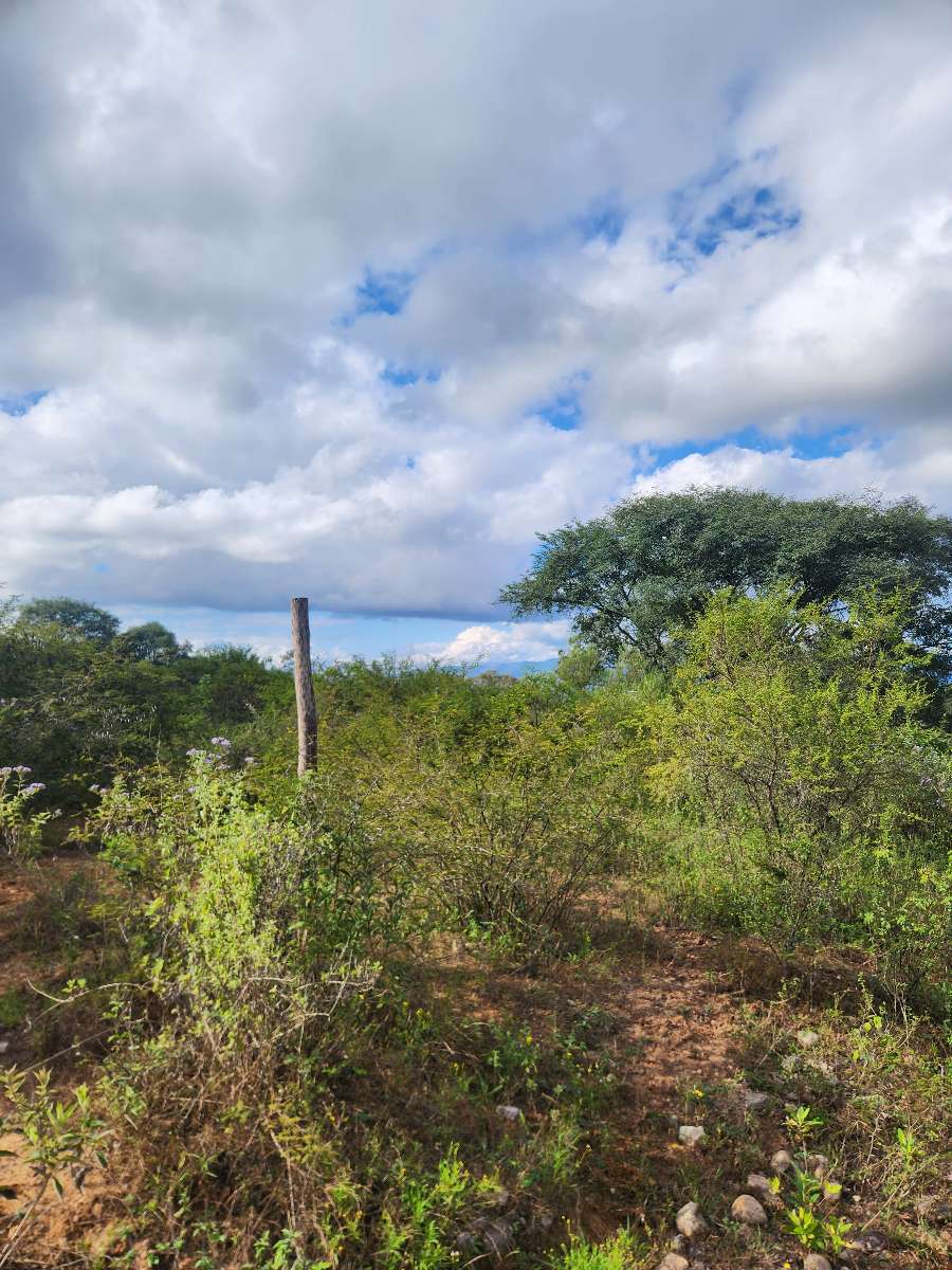 Casa en Venta en San Salvador de Jujuy con · dueño directo · 9 ha - Imagen 2