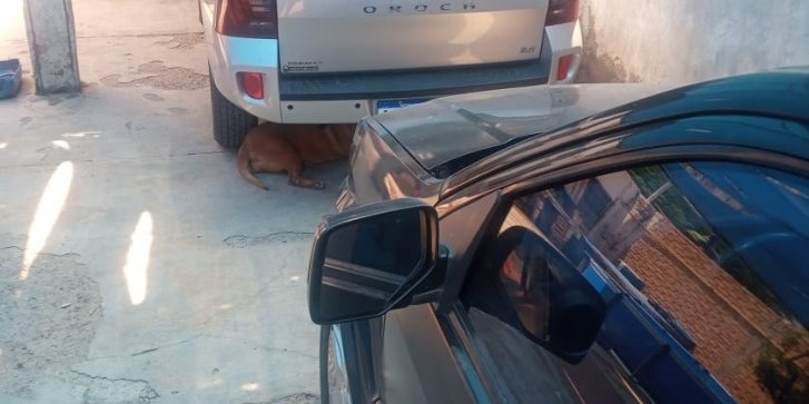 Cochera doble