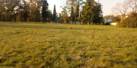 Terreno en Venta en Berazategui con 630 m2 de terreno - imagen 7