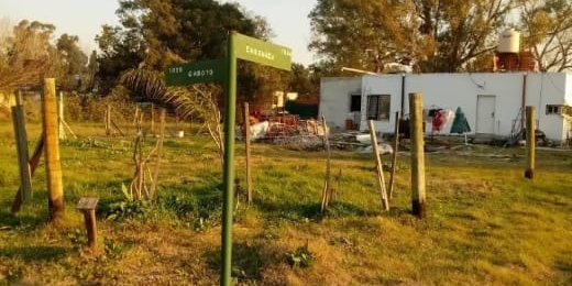 Terreno en Venta en Berazategui con 630 m2 de terreno - imagen 8