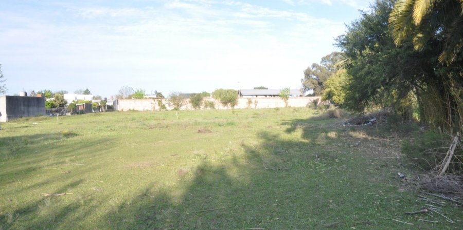 Casa en Venta en Gualeguaychú con 3 dorm., 185 m2 cubiertos y 10.025 m2 totales - imagen 5