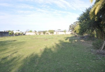 Casa en Venta en Gualeguaychú con 3 dorm y cochera - Imagen 5