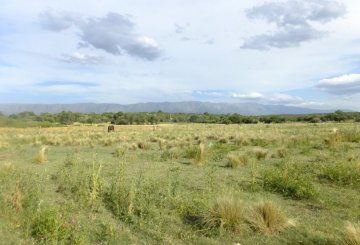 Hermoso terreno en Nono de 7735 m2 Pierdras Blancas - Imagen 1