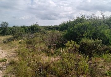 Hermoso terreno en Nono de 7735 m2 Pierdras Blancas - Imagen 4