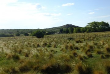Hermoso terreno en Nono de 7735 m2 Pierdras Blancas - Imagen 3