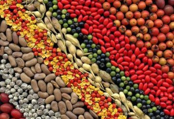 Venta Fondo de Comercio de Almacén Natural - Imagen 1