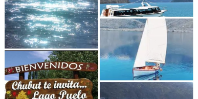 Dueo Directo Vende Linda Cabaa Con Arroyos Arroyo Natural - Casa en Venta en Lago Puelo con 1 dorm., 50 m2 cubiertos y 520 m2 totales - imagen 1