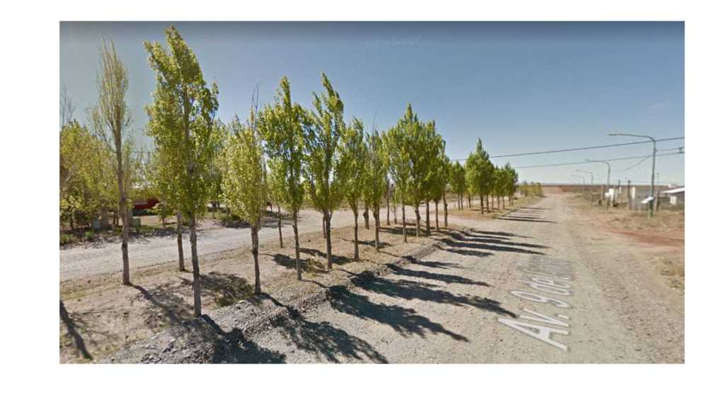 Casa disponible en Senillosa · dueño directo · 450 m² de lote - Imagen 1