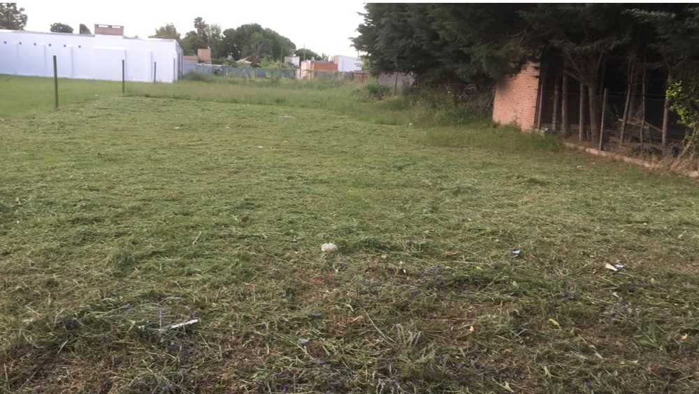 Excelente Campo en Roldan en Venta · dueño directo · 1 ha - Imagen 3