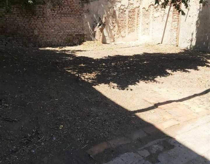 Depósito en Ciudadela: en Venta · dueño directo · 2 dorm · 2 cocheras · 233 m² de lote - Imagen 3