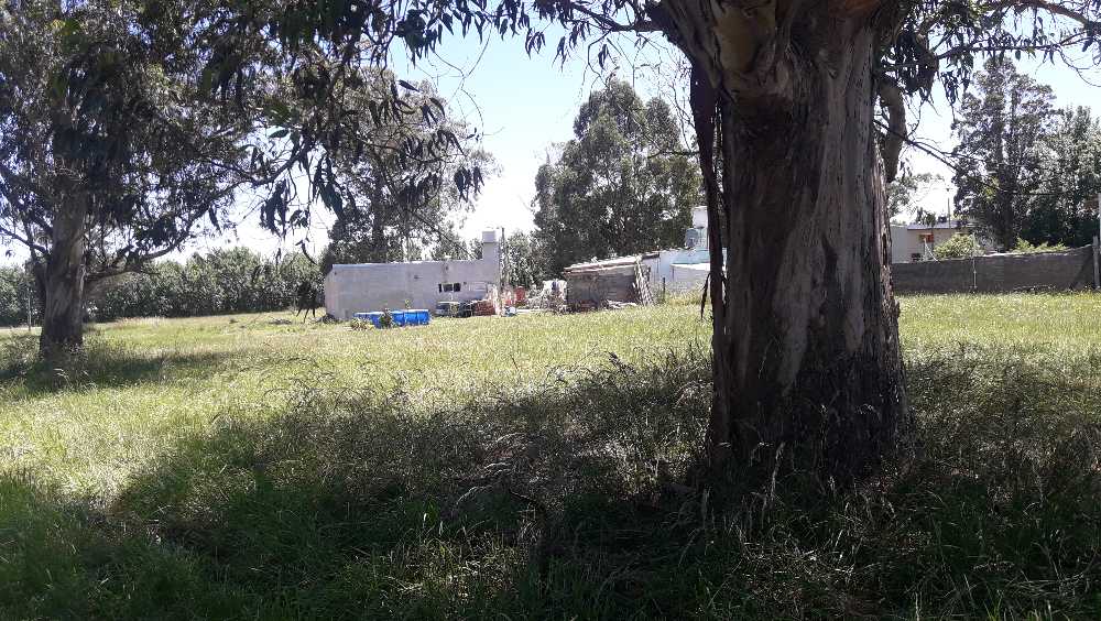Lote Camet Norte 405 mts - Imagen 3