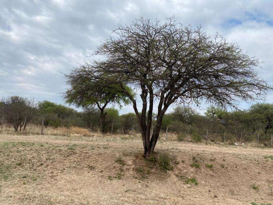 Terreno En Venta En Villa Cura Brochero, Crdoba - Terreno en Venta en Mina Clavero con 2.000 m2 de terreno - imagen 11