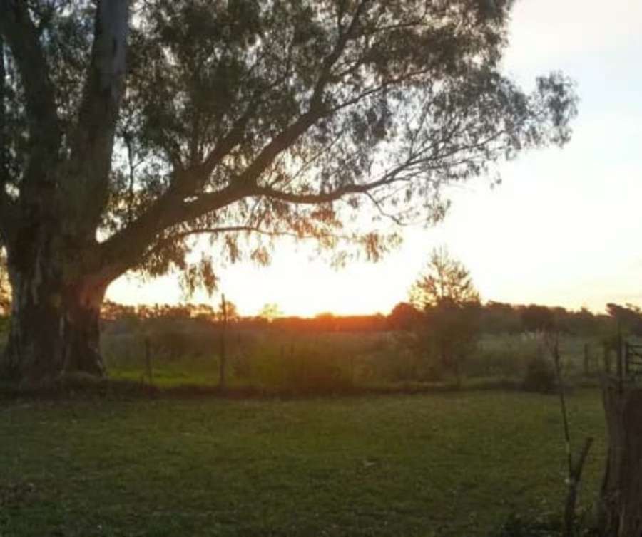 Lotes en venta Villa Parque Sicardi - Imagen 2