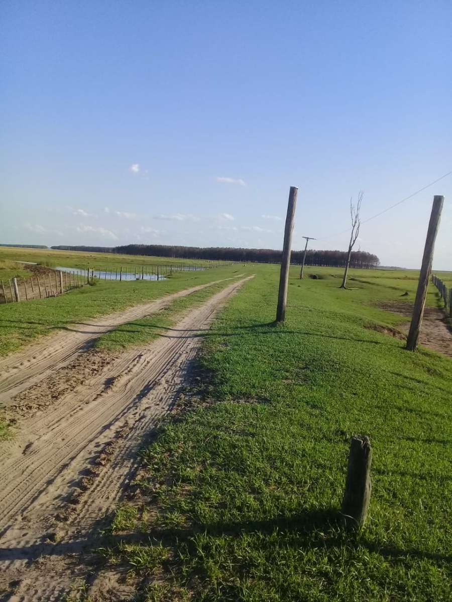 Terreno en Corrientes en Alquiler · dueño directo · 5,5 ha - Imagen 1