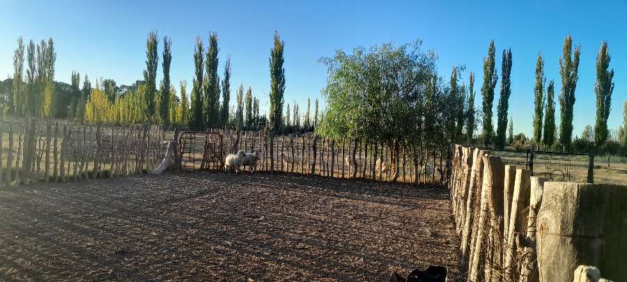 Campo en Venta en General Alvear, · dueño directo · 4 o más dorm · 5 ha - Imagen 1