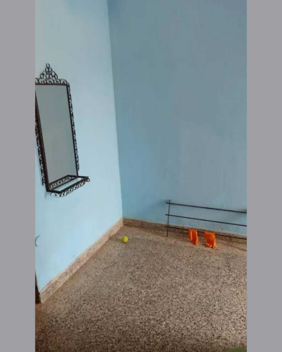 PH en planta baja con entrada independiente, un monoambiente dividido con patio y terraza en común. - Imagen 2