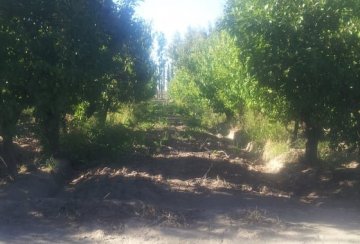 Finca en VENTA Calle 