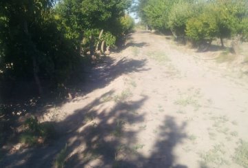 Finca en VENTA Calle