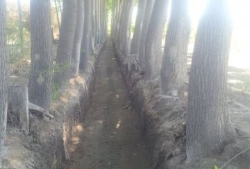 Finca en VENTA Calle