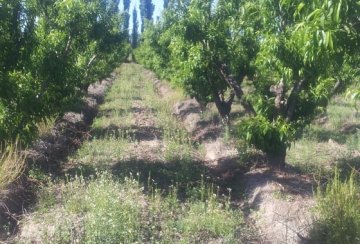 Finca en VENTA Calle