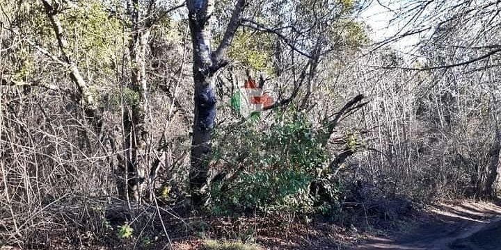 Terreno en Venta en Bariloche con 610 m2 de terreno - imagen 2