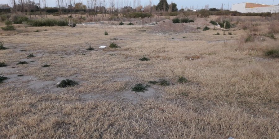 Terreno en Venta en San Rafael con 405 m2 de terreno - imagen 8
