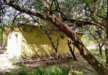 Casa en Venta en Achiras con 2 dorm y 1.089 m² de lote - Imagen 4