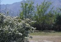 Casa en Venta en Achiras con 3 dorm y 4.200 m² de lote - Imagen 4