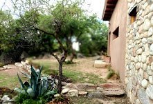 Casa en Venta en Achiras con 2 dorm y 2.500 m² de lote - Imagen 2