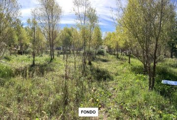 Terreno en Venta en San Bernardo con frente 20 m y largo 50 m - Imagen 2
